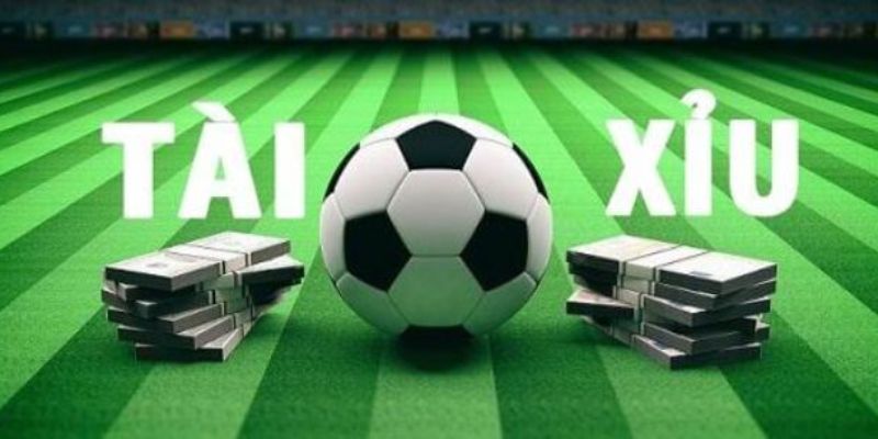 Hội viên nên phân tích kỹ thực lực của hai đội bóng