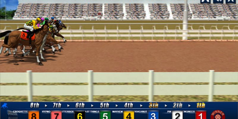 Tham gia đua ngựa trực tiếp với nhiều kèo hay